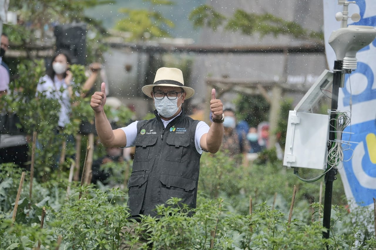 Gubernur Jabar Ridwan Kamil Resmikan Kick-Off Petani Milenial