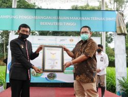 Bio Farma – BPPT – Unpad Kembangkan Hijauan Makan Ternak Bernutrisi Tinggi