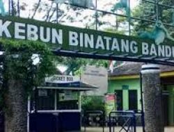 Positif Covid-19, Dua Pengunjung Dilarang Masuk Kebun Binatang Bandung