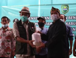 DKP Jabar Serahkan Bantuan 2,2 juta Benih Udang Windu untuk KUD Mina Tambak se-Kabupaten Subang