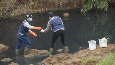 Cemari DAS Cilamaya, Pabrik Tepung Tapioka di Karawang Ditutup Sementara