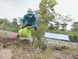 Ridwan Kamil Bersama Bupati dan Wali Kota di Jabar Tanam 10 Juta Pohon