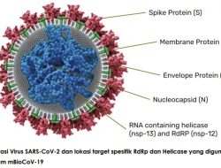 Varian Omicron Terdeteksi oleh mBioCoV-19, Alat Uji PCR CoVid-19