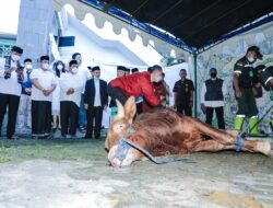 Iduladha 1443 H: Pemkot Bandung Tebar 45 Sapi dan 100 Domba