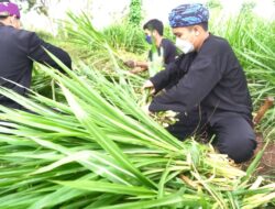 Mengusung Program Creating Share Value, Bio Farma Bina 80 Peternak Milenial di Bandung Barat