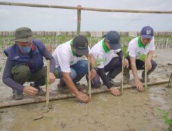 Cegah Abrasi, Bio Farma Bersama Forum CSR Tenant Indotaisei Tanam Mangrove di Pesisir Pantai Karawang