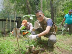 Bio Farma Ajak Karyawan Tanam Pohon di Taman Buru Gunung Masigit Kareumbi
