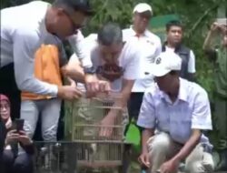 UPTD Tahura Juanda Lepasliarkan 60 Ekor Burung di Hari Rimbawan Ke-40