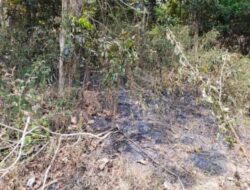 Satu Titik Kebakaran Hutan Gunung Jayanti Sukabumi Sudah Padam