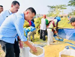 Panen Raya di Subang, Bey Machmudin Dampingi Presiden Jokowi
