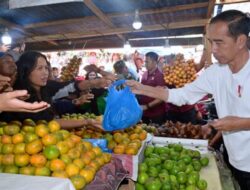 Presiden Jokowi Belanja Buah dan Sayur di Pasar Buah Berastagi Sumut