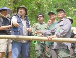 Peringati Hari Konservasi Alam Nasional 2024, Bio Farma Lepas liarkan Owa Jawa dan Surili di Cagar Alam Gunung Tilu