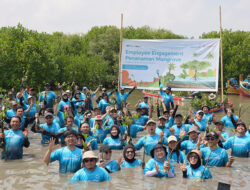Atasi Dampak Abrasi, Bio Farma Kerahkan 100 Karyawan Tanami Mangrove di Pantai Pondok Bali Desa Mayangan Subang