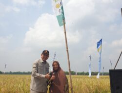 Daddy Rohanady: Petani Harus Merdeka dan Sejahtera