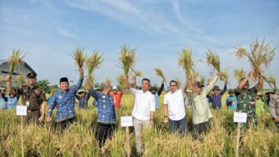 Jabar Targetkan Produksi Gabah Kering Giling 2024 Capai 11 Juta Ton