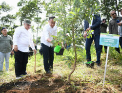 Bey Machmudin Awali Kerja 2025 dengan Menanam Pohon