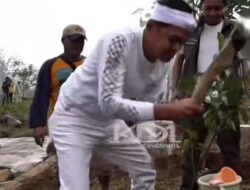50.000 Bibit Pohon Ditanam untuk Hijaukan Kawasan Puncak Bogor