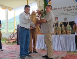 Wagub Jabar Erwan Setiawan Dukung Pengembangan Varietas Padi Unggul Cikawasen asal Ciamis
