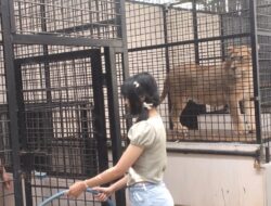 Jadi Junior Keeper Bandung Zoo, Belajar Konservasi Alam Sejak Dini