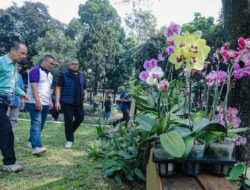 Konservasi Anggrek, Langkah Kecil Kembalikan Bandung Kota Kembang