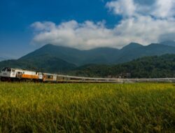 Promo Merdeka KAI 17 Agustus, Cukup Bayar 80 Persen Harga Tiket