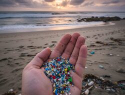 Mikroplastik Ada di Air Hujan, Apa Dampaknya Buat Tubuh ?
