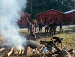 Satgas TNI Gelar Acara Adat Bakar Batu Bersama Masyarakat Kampung Banti Papua Tengah