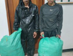 Kodam III/ Slw Klarifikasi Kasus Pencurian Cabai di Garut yang Libatkan Pecatan TNI AD