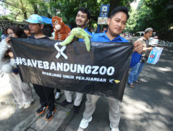 Ditutup Sejak Empat Bulan Lalu, Pengelola Bandung Zoo Kekurangan Biaya Untuk Pakan 711 Satwa