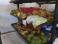 Pakan Satwa dari Kemenhut Mulai Disalurkan ke Kebun Binatang Bandung