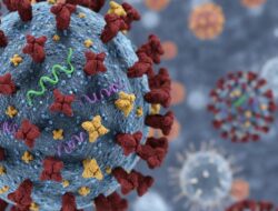 Kemenkes Pastikan Influenza A(H3N2) Subclade K Tidak Lebih Parah, Situasi Nasional Terkendali
