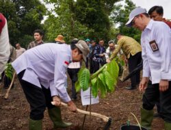 OJK Jabar Dukung Revitalisasi Lahan Kritis Melalui Pengembangan Kakao dan Kelapa di Desa Nagrak Kab.Bandung
