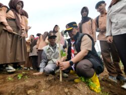 Kwarda Jabar Gelar GAUL, Targetkan Penghijauan 100 Hektar di Bandung Selatan