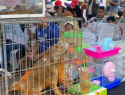 Bangsawan Expo Perkuat Perlindungan Kesehatan Hewan dan Warga
