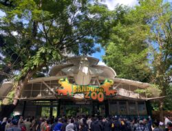 Wali Kota Pastikan Empat Aspek Diselamatkan dalam Penataan Kebun Binatang Bandung