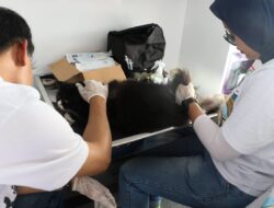 Kota Bandung Bebas Penyakit Rabies, DKPP Intensifkan Vaksinasi Hewan Peliharaan