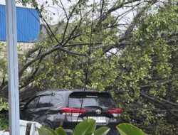 Intensitas Hujan Tinggi Disertai Angin Kencang Masih Berpotensi Terjadi dalam Beberapa Hari Kedepan, BMKG Ingatkan Risiko Banjir dan Pohon Tumbang