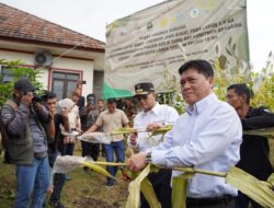 Panen Perdana Tanaman Sorgum di Cirebon, PTDI Berdayakan Petani Lokal
