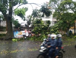 Dampak Hujan Deras Guyur Kota Bandung, Tim Gabungan Tangani 31 Pohon Tumbang dan Tanggul Jebol
