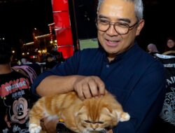 Kota Bandung Tuan Rumah Shibuya Catwalk International Cat Show, Dorong Ekosistem Pet Care Berstandar Global
