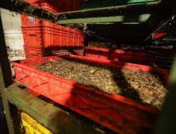 Pusat Perbelanjaan PVJ Bandung Berhasil Lakukan Pemilahan, Budidaya Maggot, Hingga Mengolah 3,5 Ton Sampah per Hari