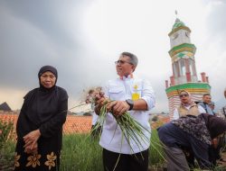 Panen Bawang Hingga Budidaya Jamur Wakaf Hijau Berbuah Manis, Dorong Ekonomi Jemaah di Cibiru