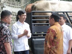 Sambut Iduladha 1447 H, Len Bersama Seluruh Anggota Holding DEFEND ID Salurkan 100 Hewan Kurban