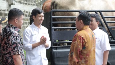 Sambut Iduladha 1447 H, Len Bersama Seluruh Anggota Holding DEFEND ID Salurkan 100 Hewan Kurban