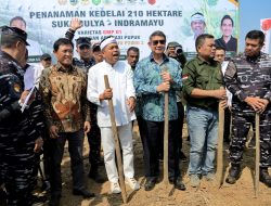 Dorong Swasembada Kedelai, Gubernur Jabar Minta Petani Lakukan Ini