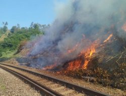 Potensi Kebakaran di Musim Kemarau, Masyarakat Dihimbau Tidak Membakar dan Membuang Sampah di Sekitar Jalur Rel Kereta Api