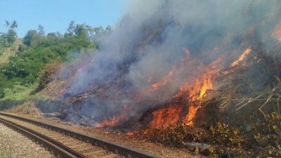 Potensi Kebakaran di Musim Kemarau, Masyarakat Dihimbau Tidak Membakar dan Membuang Sampah di Sekitar Jalur Rel Kereta Api
