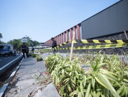 Geram Penebangan Pohon di Jalan LLRE Martadinata, Walikota Bandung Bakal Seret Pelakunya ke Meja Hijau