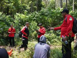 Antisipasi Puncak Kemarau, Dishut Jabar Siaga Penuh Cegah Kebakaran Hutan dan Lahan