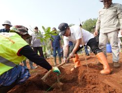 Pemprov Jabar Revitalisasi Kebun Karet Jalupang Subang, 4.200 Pohon Telah Ditanam